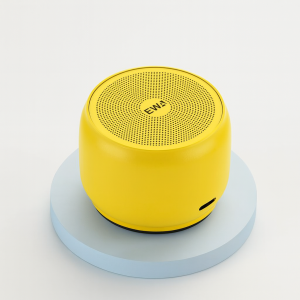 Portable Speakers